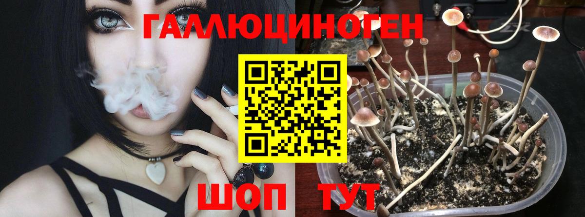 Псилоцибиновые грибы мухоморы Сатка